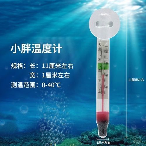 金龍魚溫度計推薦品牌有哪些（康泰納仕魚缸溫度計測溫度計選擇指南）