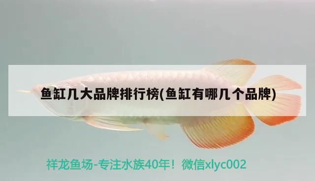 魚缸幾大品牌排行榜(魚缸有哪幾個品牌)