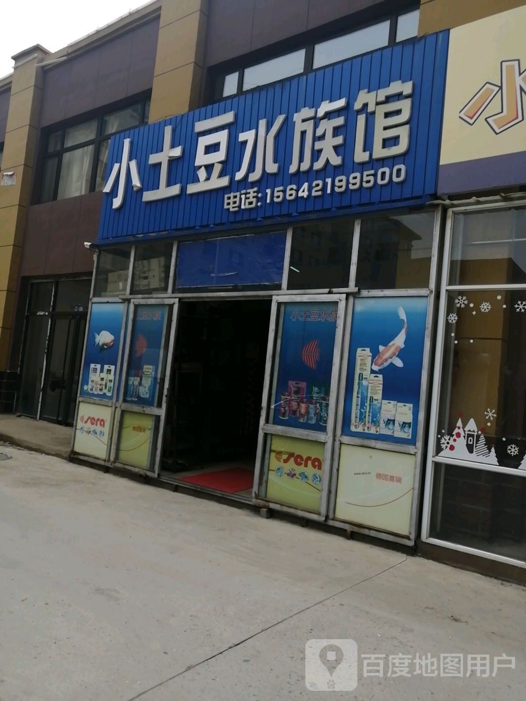 雙塔哪個水族館龍魚好？祥龍魚場龍魚（雙塔哪個水族館龍魚好） 雙塔哪個水族館龍魚好？祥龍魚場龍魚（雙塔哪個水族館龍魚好） 龍魚百科 第6張