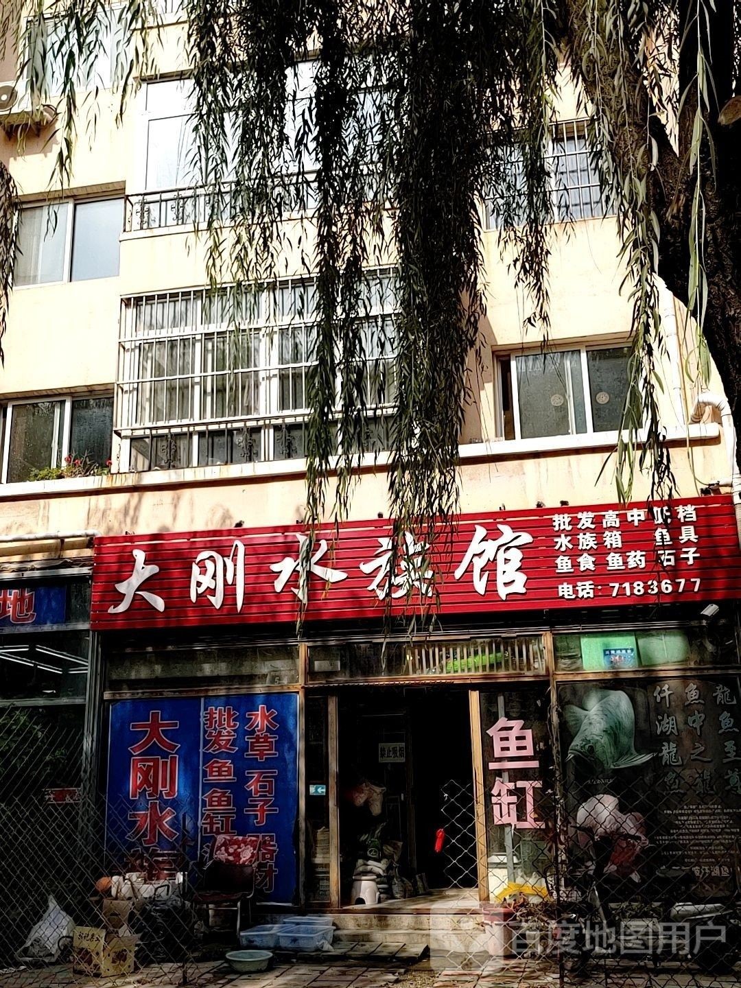 雙塔哪個水族館龍魚好？祥龍魚場龍魚（雙塔哪個水族館龍魚好） 雙塔哪個水族館龍魚好？祥龍魚場龍魚（雙塔哪個水族館龍魚好） 龍魚百科 第7張