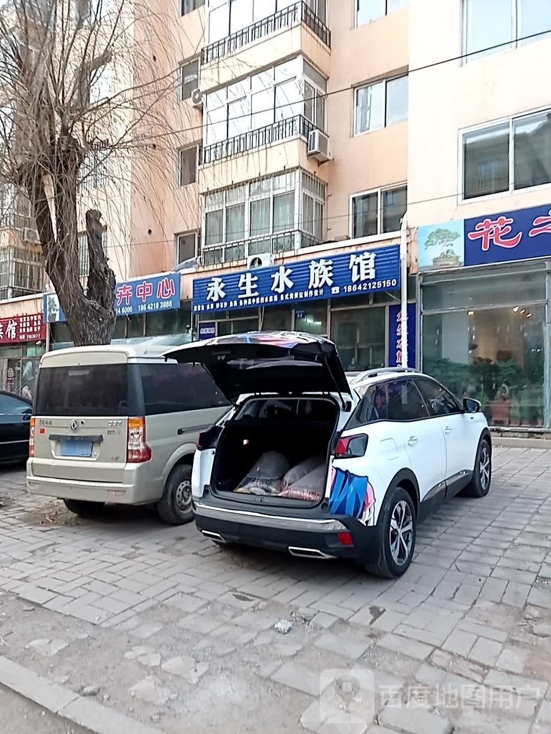 雙塔哪個水族館龍魚好？祥龍魚場龍魚（雙塔哪個水族館龍魚好） 雙塔哪個水族館龍魚好？祥龍魚場龍魚（雙塔哪個水族館龍魚好） 龍魚百科 第8張