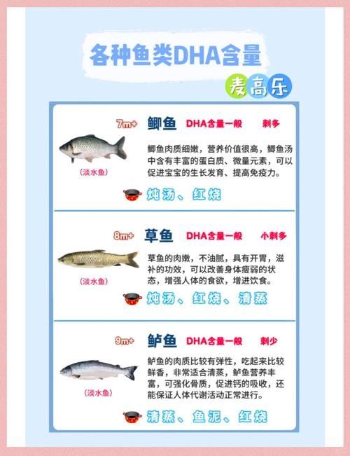 金龍魚吃魚肉有哪些好處（金龍魚為什么容易被消化吸收王雪梅魚肉吃了好消化）