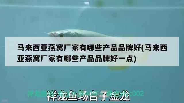 馬來西亞燕窩廠家有哪些產品品牌好(馬來西亞燕窩廠家有哪些產品品牌好一點)