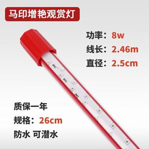 紅龍魚燈具的價(jià)格范圍是多少