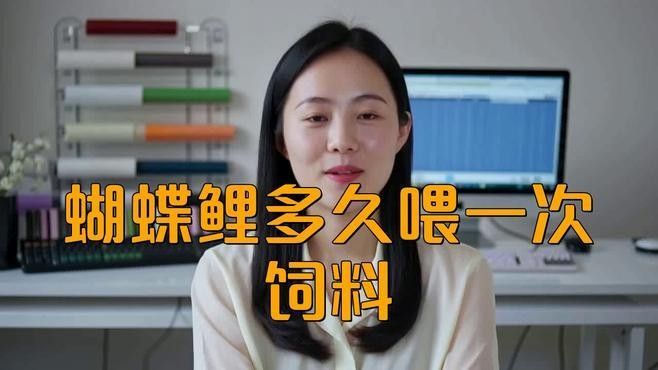 白金龍鳳鯉和蝴蝶鯉哪個更好養？（白金龍鳳鯉和蝴蝶鯉的區別，） 白金龍鳳鯉和蝴蝶鯉哪個更好養？（白金龍鳳鯉和蝴蝶鯉的區別，） 龍魚百科 第8張