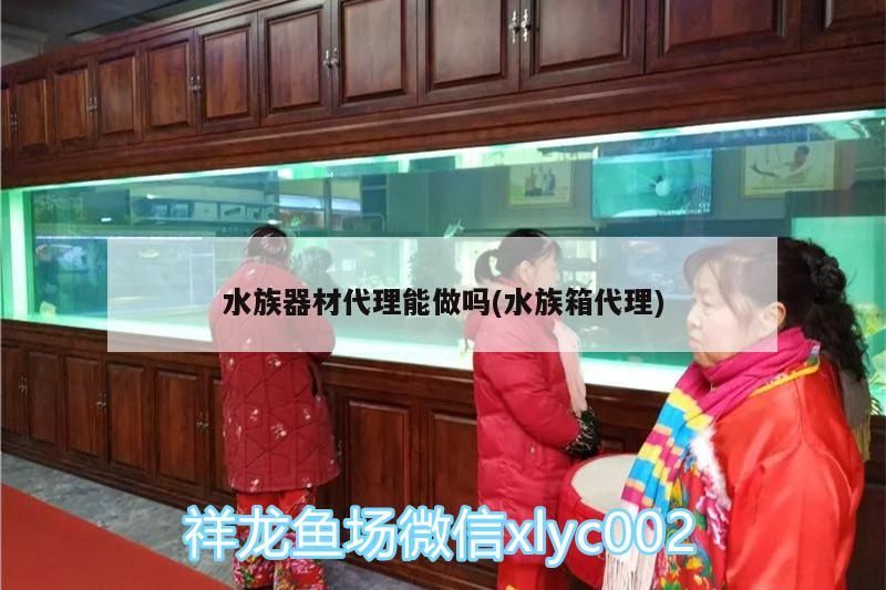 <strong><mark>水族器材</mark></strong>代理能做嗎(水族箱代理)（山東世國創業集團旗下<strong><mark>水族器材</mark></strong>代理能做嗎）