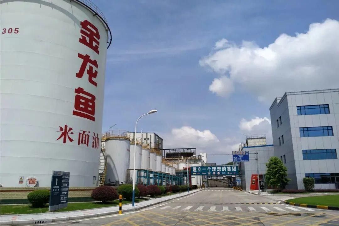 如何聯系金龍魚南昌直銷門店 龍魚百科 第4張 如何聯系金龍魚南昌直銷門店 如何聯系金龍魚南昌直銷門店 龍魚百科 第4張
