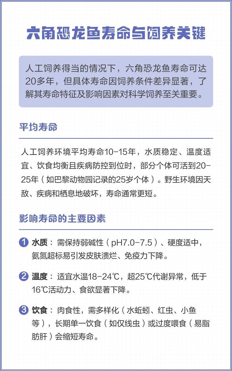 六角龍魚(yú)能活多久（六角恐龍魚(yú)的壽命有多長(zhǎng)）