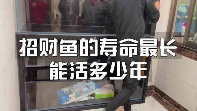 紅眼白子招財龍成魚壽命有多長？（紅眼白子招財龍成魚的壽命） 紅眼白子招財龍成魚壽命有多長？（紅眼白子招財龍成魚的壽命） 龍魚百科 第1張