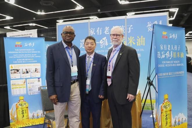 金龍魚的創新案例