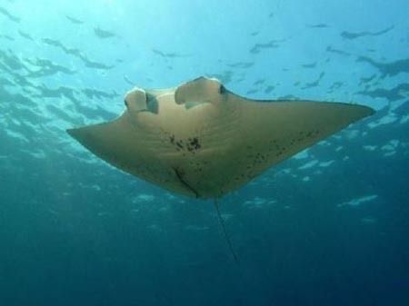銀川水族館：中國寧夏銀川水族館程之成水族館程之成水族館開放時間