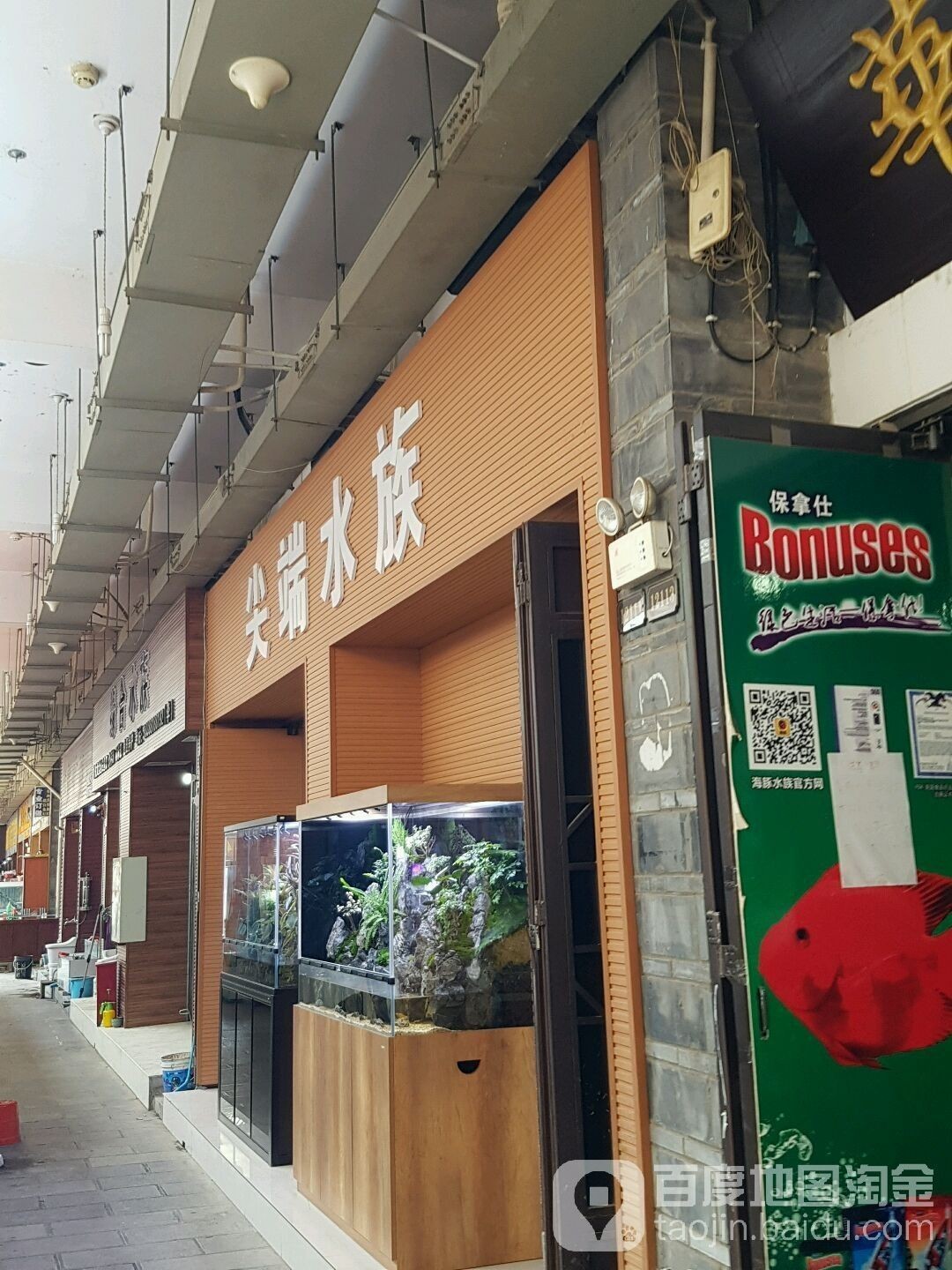 昆明有哪些水族市場？（云南省昆明市水族市場）