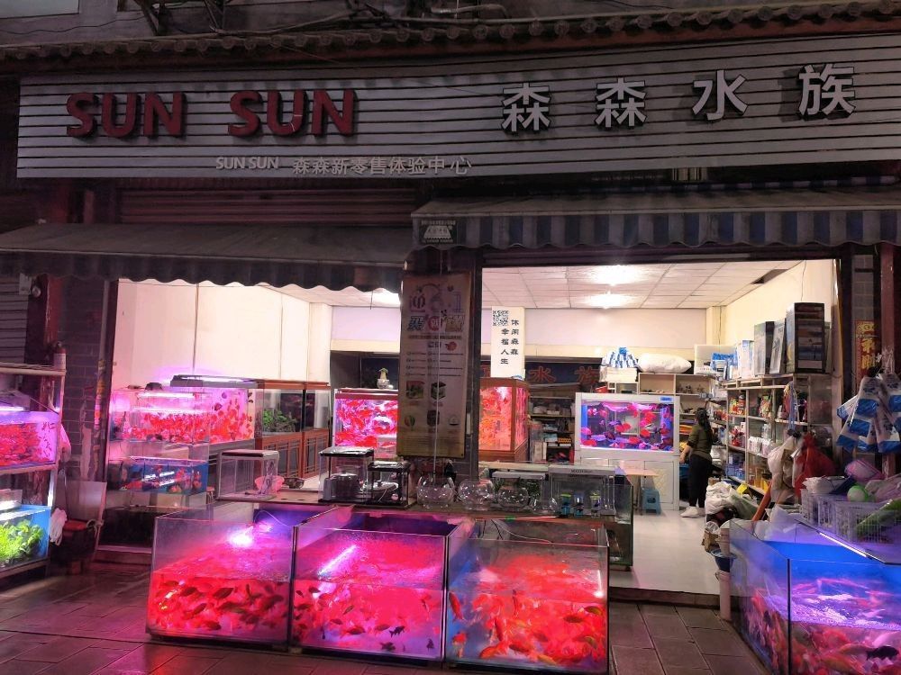 昆明有哪些水族市場？（云南省昆明市水族市場）