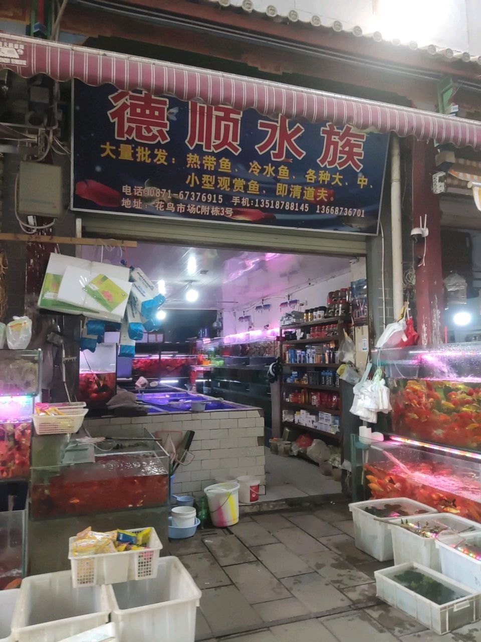 昆明有哪些水族市場？（云南省昆明市水族市場）