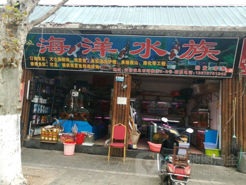 昆明有哪些水族市場？（云南省昆明市水族市場）