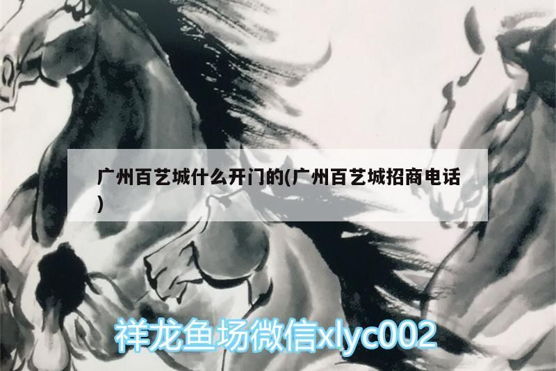 廣州百藝城什么開門的(廣州百藝城招商電話)（廣州百藝城什么開門的）
