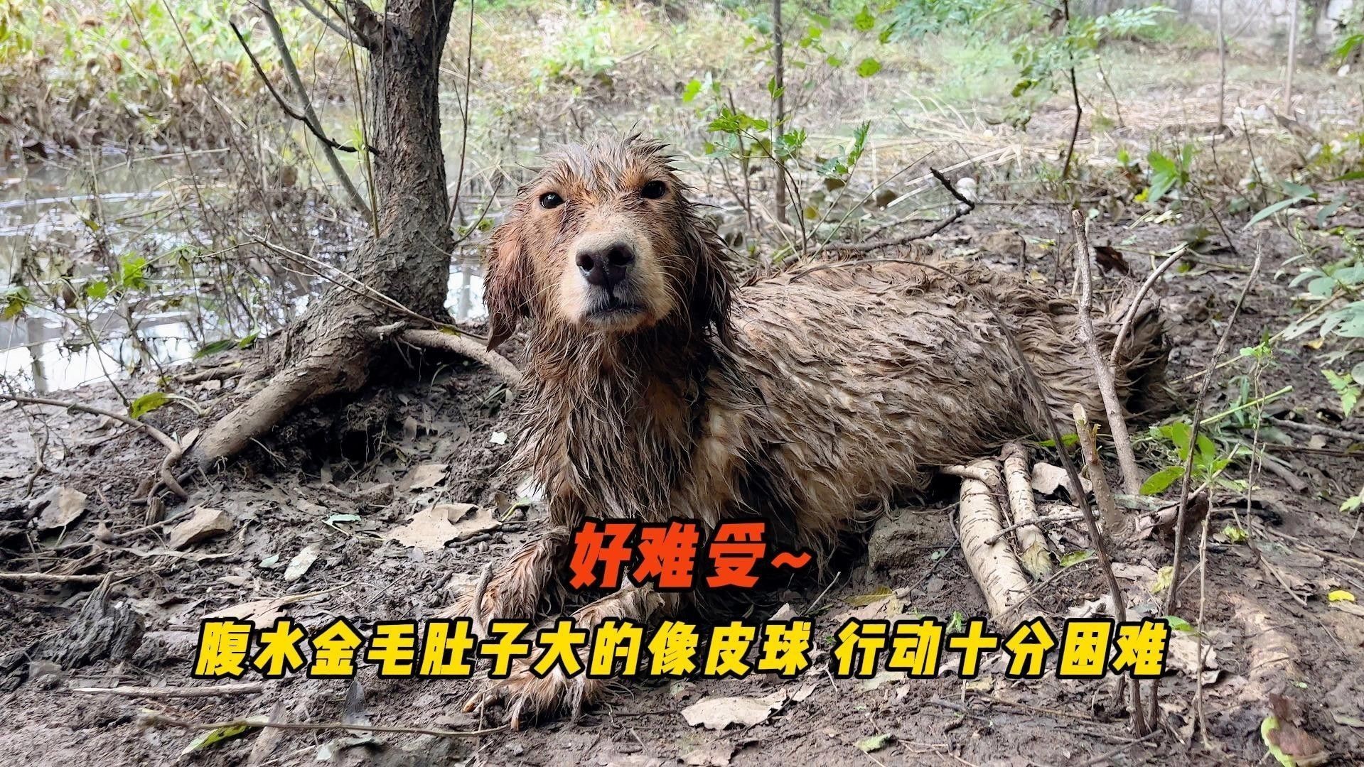 抽腹水后需要住院多久（抽腹水后住院時間）