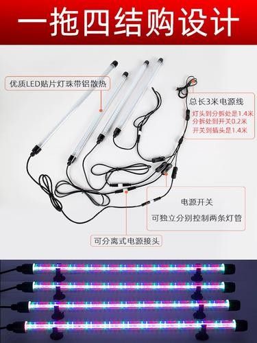 如何選擇適合金龍魚的燈管？（金龍魚燈光選擇適合金龍魚的燈管時需要考慮的因素）