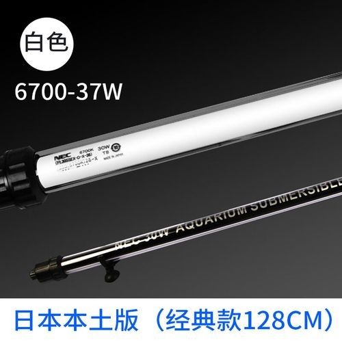 如何選擇適合金龍魚的燈管？（金龍魚燈光選擇適合金龍魚的燈管時需要考慮的因素）
