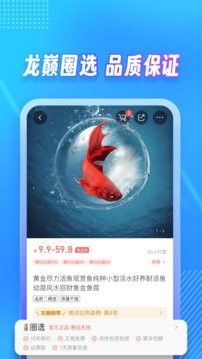 龍巔觀賞魚(yú)APP有哪些版本？（龍巔觀賞魚(yú)app主要版本介紹）