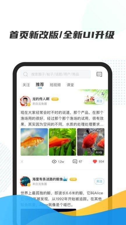 龍巔觀賞魚(yú)APP有哪些版本？（龍巔觀賞魚(yú)app主要版本介紹）