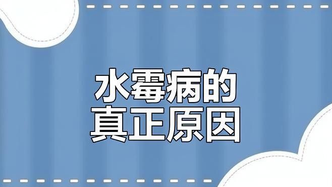 如何區分菌膜和水霉病？（百度教育觀賞魚水霉病真相大揭秘）