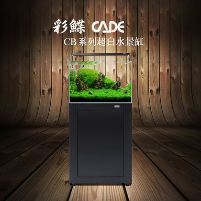 重慶彩鰈魚缸專賣店：重慶彩鰈魚缸專賣店介紹