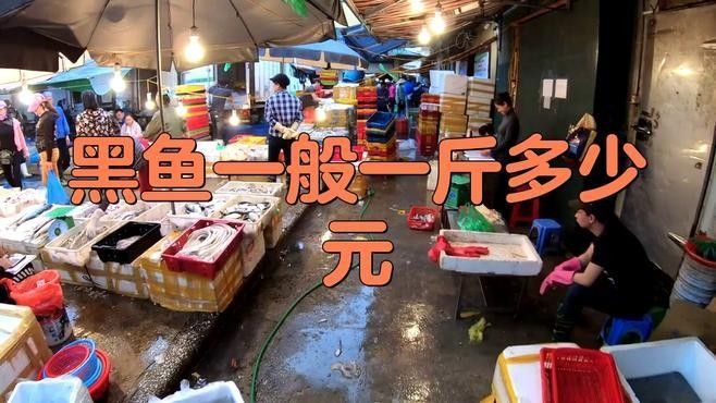 哪些因素會影響黑魚價格（黑魚價格受多種因素影響）