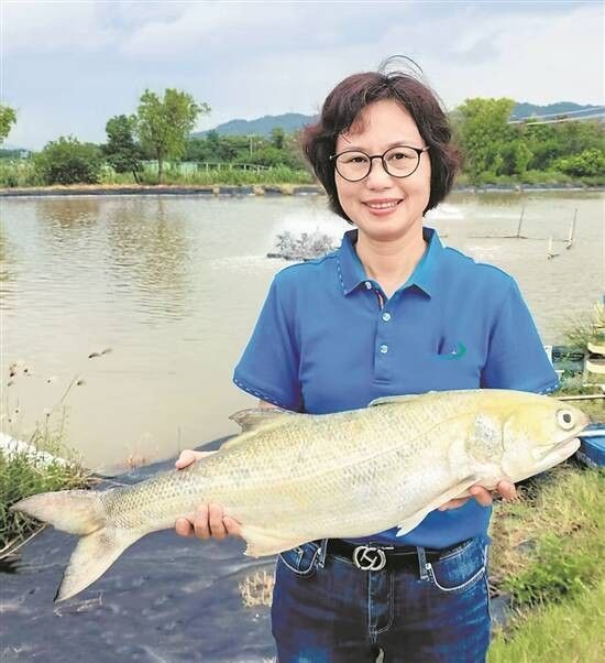 如何聯系珠海龍魚世家（如何聯系珠海龍魚世家？）