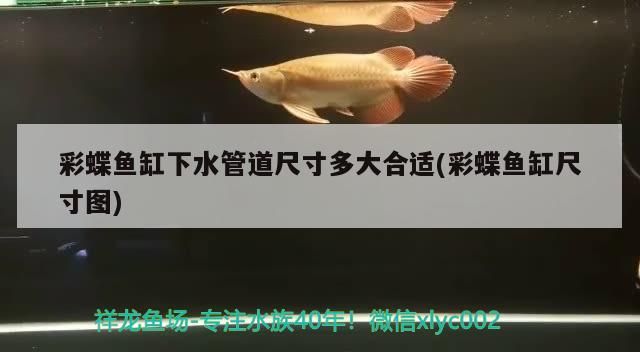 彩蝶魚缸下水管道尺寸多大合適(彩蝶魚缸尺寸圖)（彩蝶魚缸下水管道尺寸多大合適）