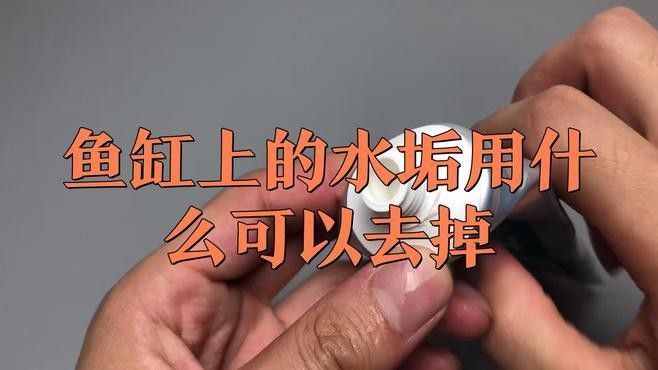 龍魚缸多久清洗一次？（魚缸換水頻率全解析!）