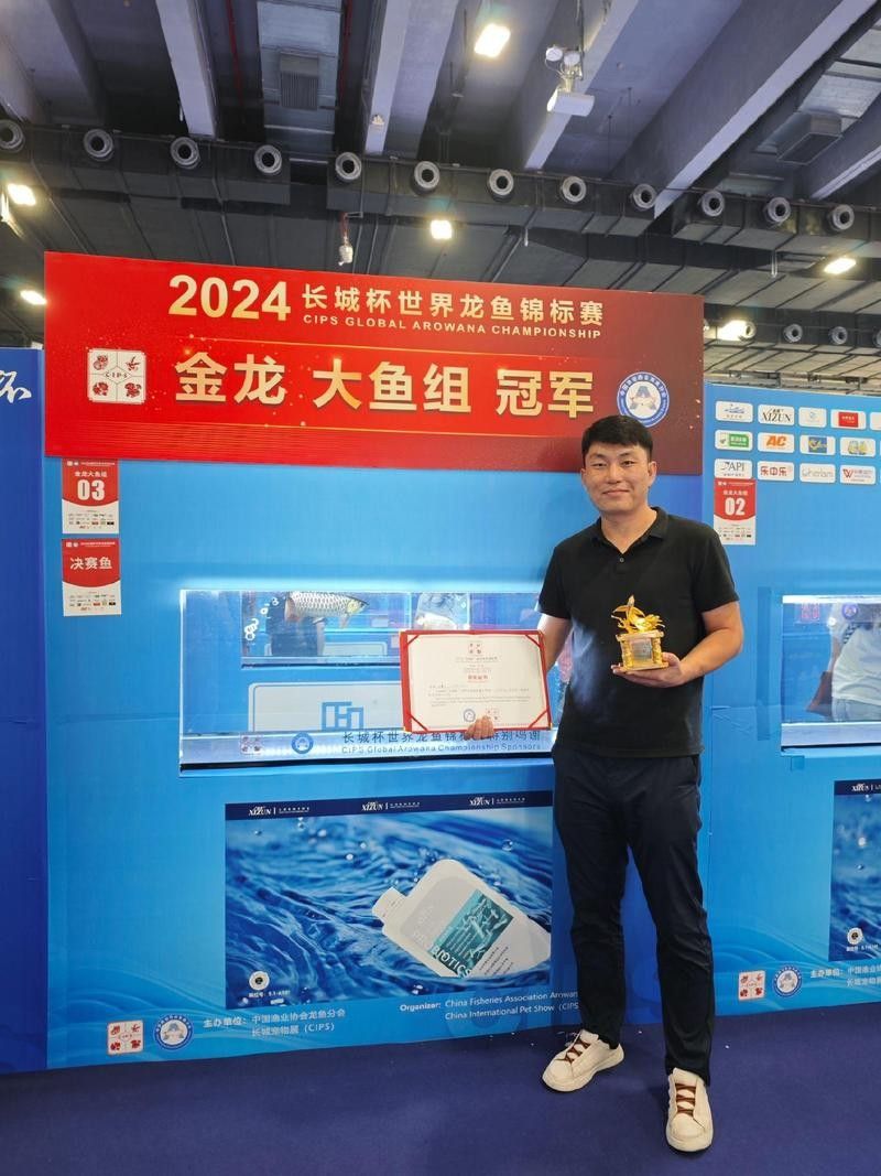 哪里可以找到高清的龍魚圖片（如何獲取高清龍魚圖片）