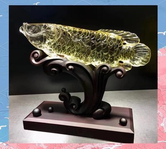 哪里可以找到高清的龍魚圖片（如何獲取高清龍魚圖片）