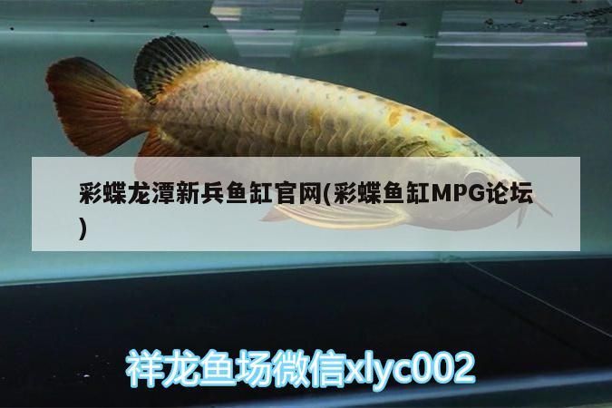 彩蝶龍?zhí)缎卤~缸官網(wǎng)(彩蝶魚缸MPG論壇)（彩蝶龍?zhí)缎卤~缸官網(wǎng)）