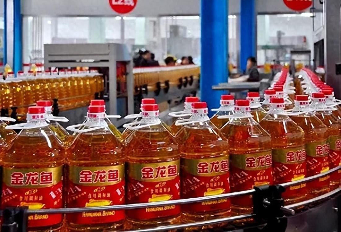 金龍魚批發市場有哪些品牌（金龍魚批發市場哪個品牌最受歡迎） 金龍魚批發市場有哪些品牌（金龍魚批發市場哪個品牌最受歡迎） 龍魚百科 第4張