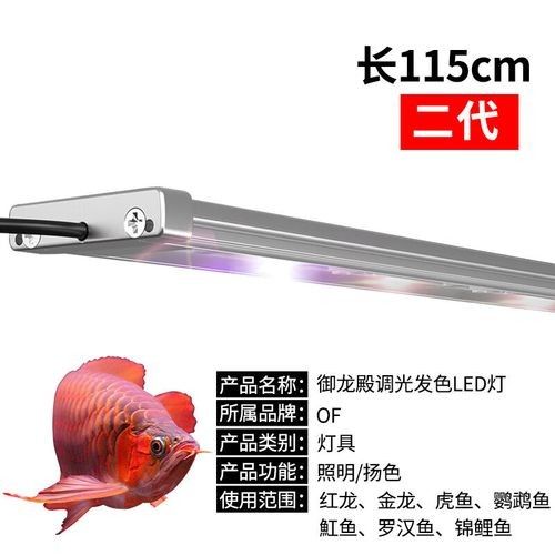 仟湖紅龍魚燈有哪些型號（仟湖紅龍魚燈哪個型號好）