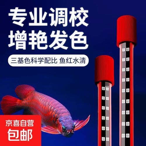給我推薦幾款性價比高的龍魚誘色燈（幾款性價比高的龍魚誘色燈推薦）
