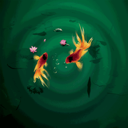 給我一些金龍魚群游的照片（關于金龍魚群游的摘要）