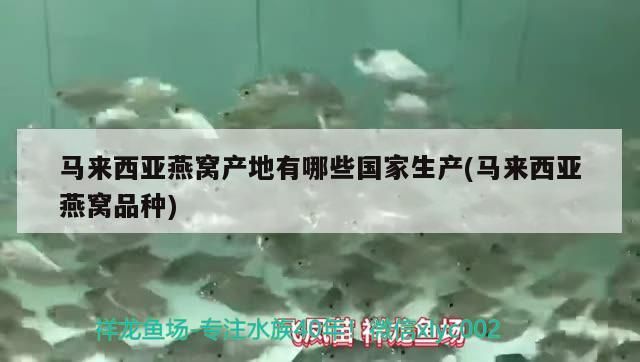馬來西亞燕窩產地有哪些國家生產(馬來西亞燕窩品種)（燕窩產地有哪些國家生產） 馬來西亞燕窩產地有哪些國家生產(馬來西亞燕窩品種)（燕窩產地有哪些國家生產） 觀賞魚百科