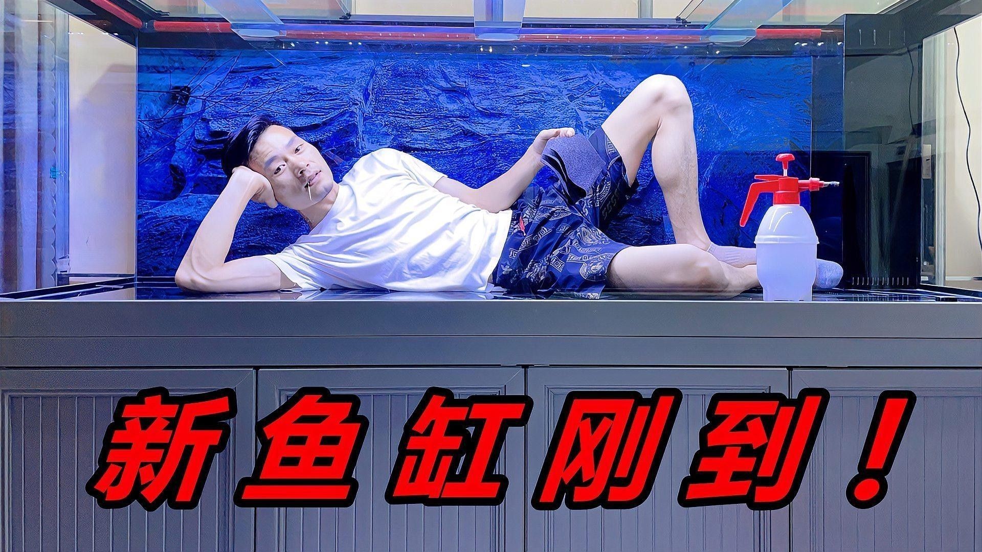 白龍魚需要多大的過濾系統(tǒng)？（萌寵百科小團團龍魚繁殖全解析魚缸過濾系統(tǒng)大揭秘） 白龍魚需要多大的過濾系統(tǒng)？（萌寵百科小團團龍魚繁殖全解析魚缸過濾系統(tǒng)大揭秘） 龍魚百科 第1張
