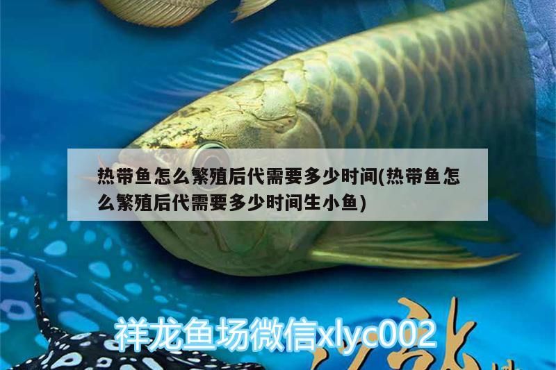 熱帶魚怎么繁殖后代需要多少時間(熱帶魚怎么繁殖后代需要多少時間生小魚)（熱帶觀賞魚的繁殖周期）