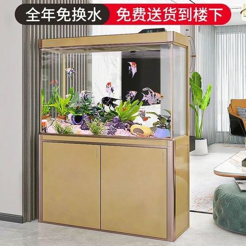 龍魚魚缸哪個品牌最好？（龍魚魚缸品牌推薦及魚缸品牌推薦及魚缸品牌推薦）
