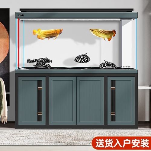 龍魚魚缸哪個品牌最好？（龍魚魚缸品牌推薦及魚缸品牌推薦及魚缸品牌推薦）
