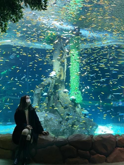 龍魚水族館的營業(yè)時間是（魚水族館營業(yè)時間是每天上午10點至晚上8點，周一至）