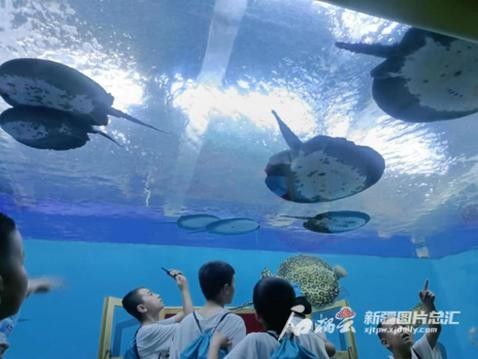 龍魚水族館的營業(yè)時間是（魚水族館營業(yè)時間是每天上午10點至晚上8點，周一至）