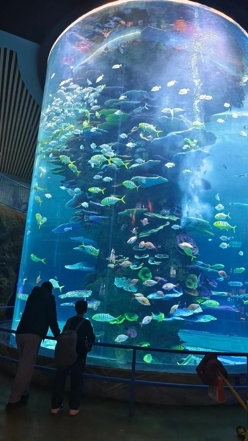 龍魚水族館的營業時間是（魚水族館營業時間是每天上午10點至晚上8點，周一至）