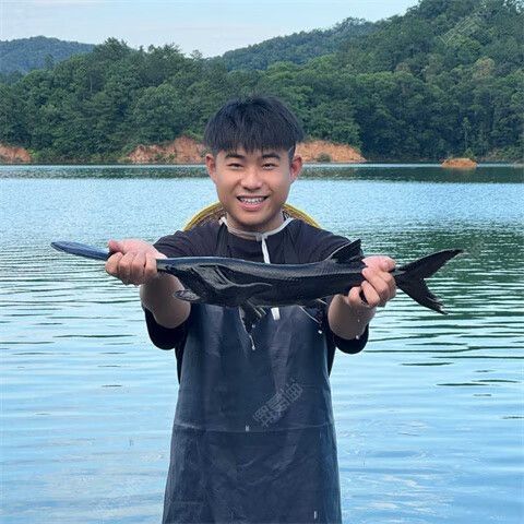 如何通過線上平臺購買萬綠湖魚？（萬綠湖魚新鮮鯪萬綠湖魚、翹嘴魚、翹嘴魚到家服務）