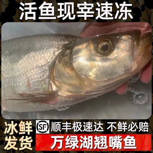 如何通過線上平臺購買萬綠湖魚？（萬綠湖魚新鮮鯪萬綠湖魚、翹嘴魚、翹嘴魚到家服務）