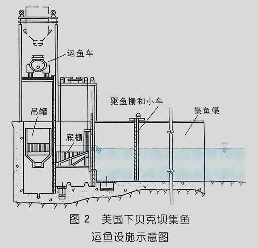龍魚飼養(yǎng)設(shè)備有哪些推薦