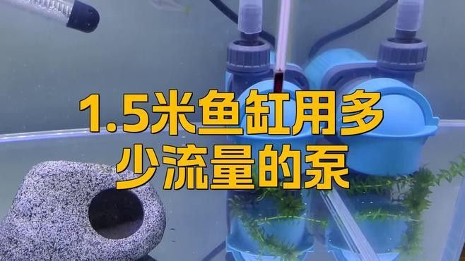 如何計算水泵的流量？（水泵流量的計算方法） 如何計算水泵的流量？（水泵流量的計算方法） 龍魚百科 第5張